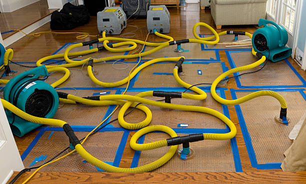 Professional Water Extraction technician working in Barton, NM
